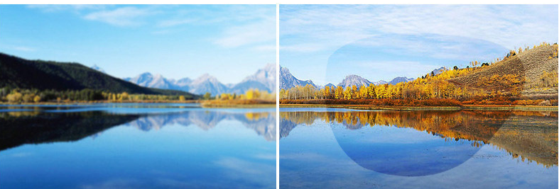 GlowLux Large Shades